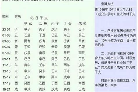 生辰八字哪八字|“生辰八字”到底是哪八个字？又该如何换算？一文轻松弄清楚